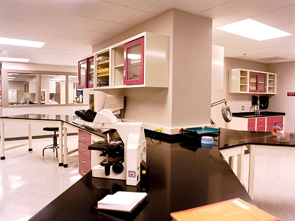 Mycology and Virology Lab